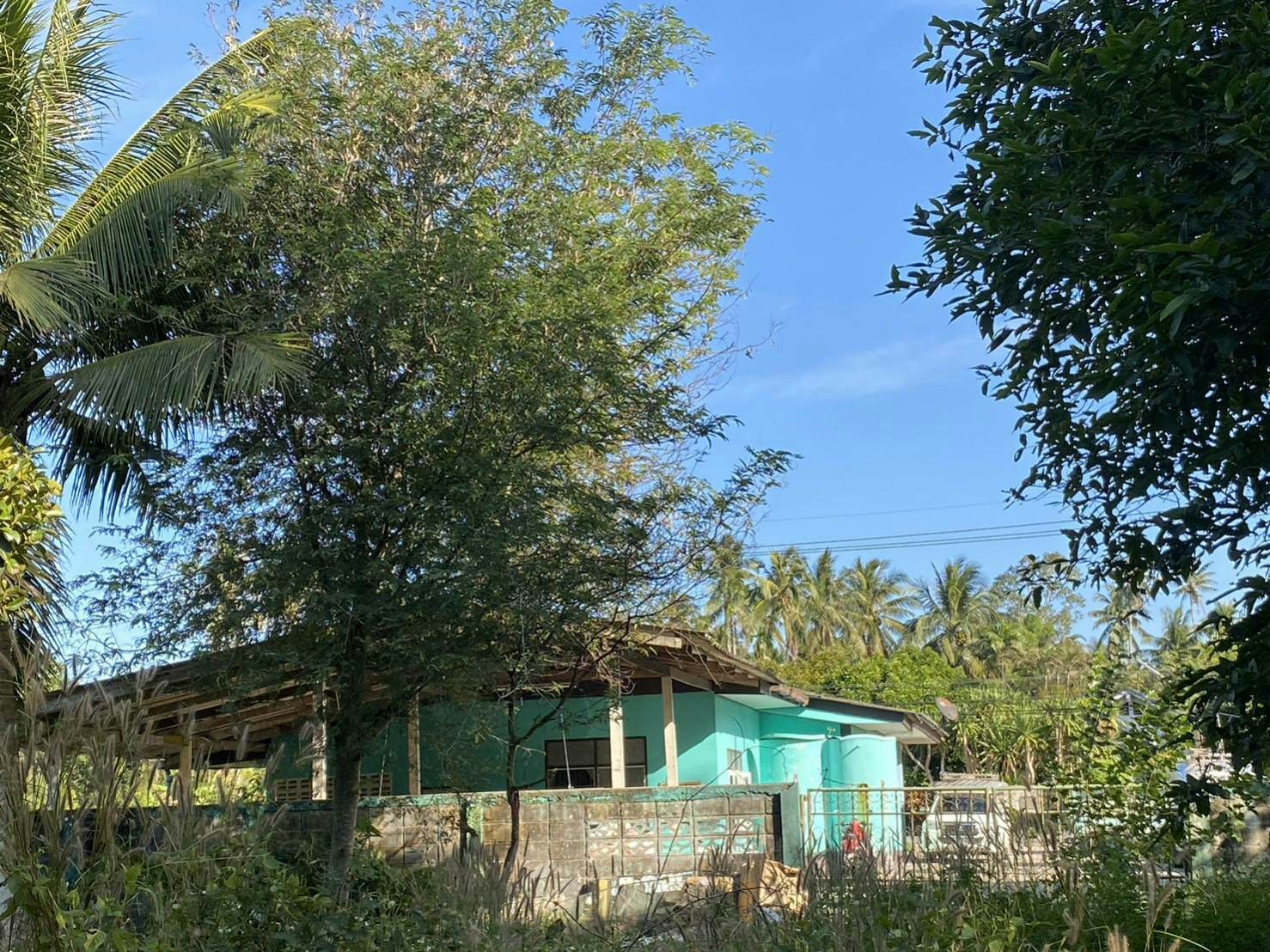 ขายบ้านพร้อมที่ดินเจ้าของขายเอง 1 ไร่ 2 งาน 9.2 ตรว. อ.เมืองชุมพร ใกล้เซเว่นสาขาชุมชนตากแดดและที่ว่าการอำเภอเมืองชุมพร บรรยากาศดีพื้นที่กว้างพร้อมสำหรับทุกคนในครอบครัว