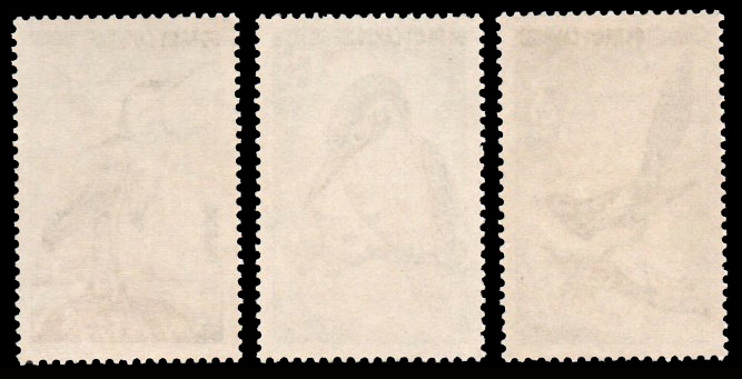 Birds 1964