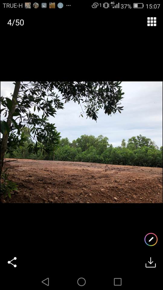 ขายที่ดินใกล้ชายฝั่งทะเล221เมตรราคาถูกที่สุด อ.เมืองชุมพร ห่างจากบริษัทพีอาร์ดีเจจำกัด562เมตรบรรยากาศดีเดินทางสะดวก