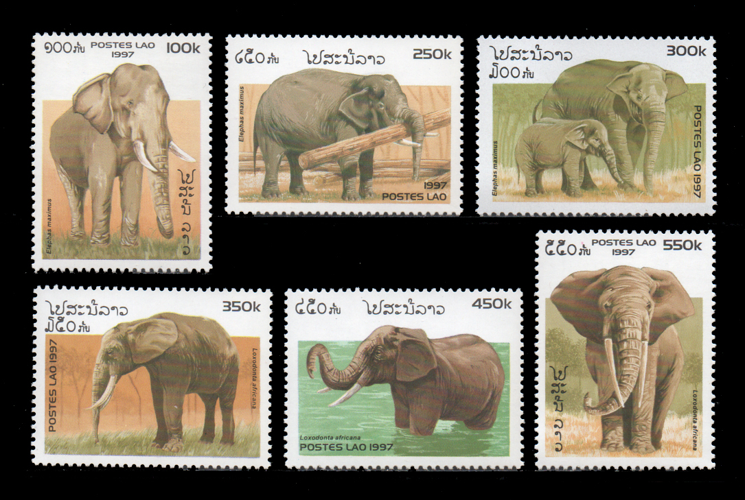 Elephants 1997