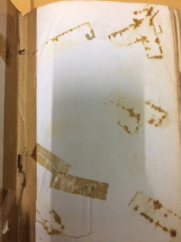 วิวาห์อลวน (เล่มเดียวจบ)