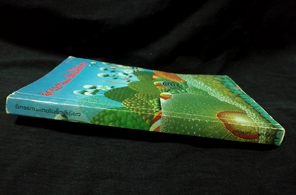 จักรยานแดงในรั้วสีเขียว