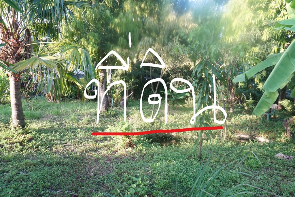 [NEW] ขายที่ดินเปล่า แปลงสวย ถนนกรุงเทพกรีฑา 53 ตร.ว ห่างปากซอยเพียง 100 เมตร เดินทางสะดวก