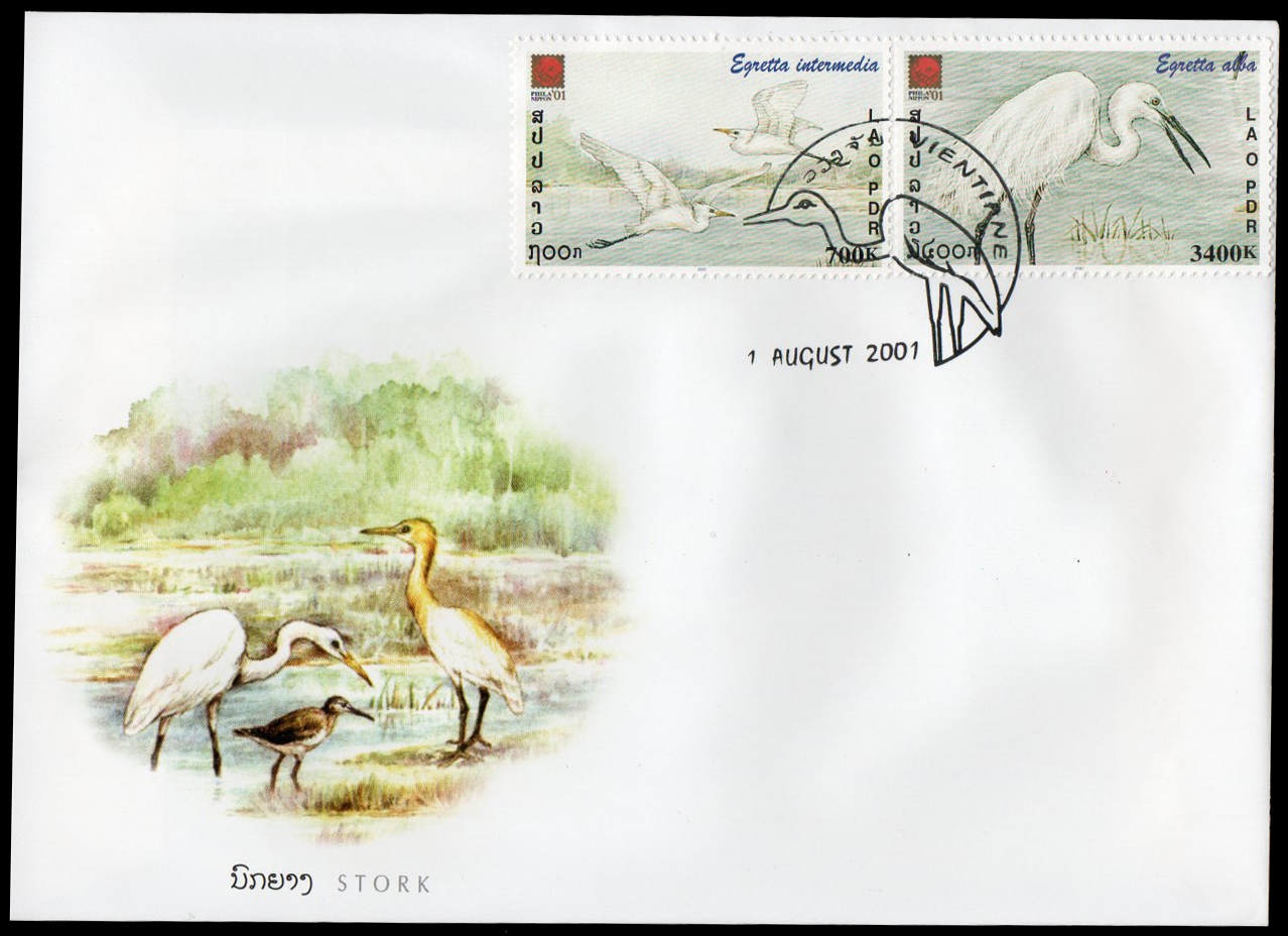 Stork 2001