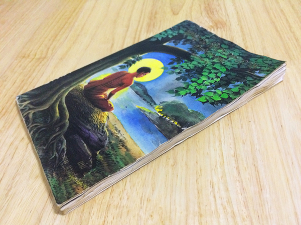 พุทธประวัติประกอบภาพ สำหรับเยาวชนพุทธทาสภิกขุ เล่ม 4 ตอน การตรัสรู้