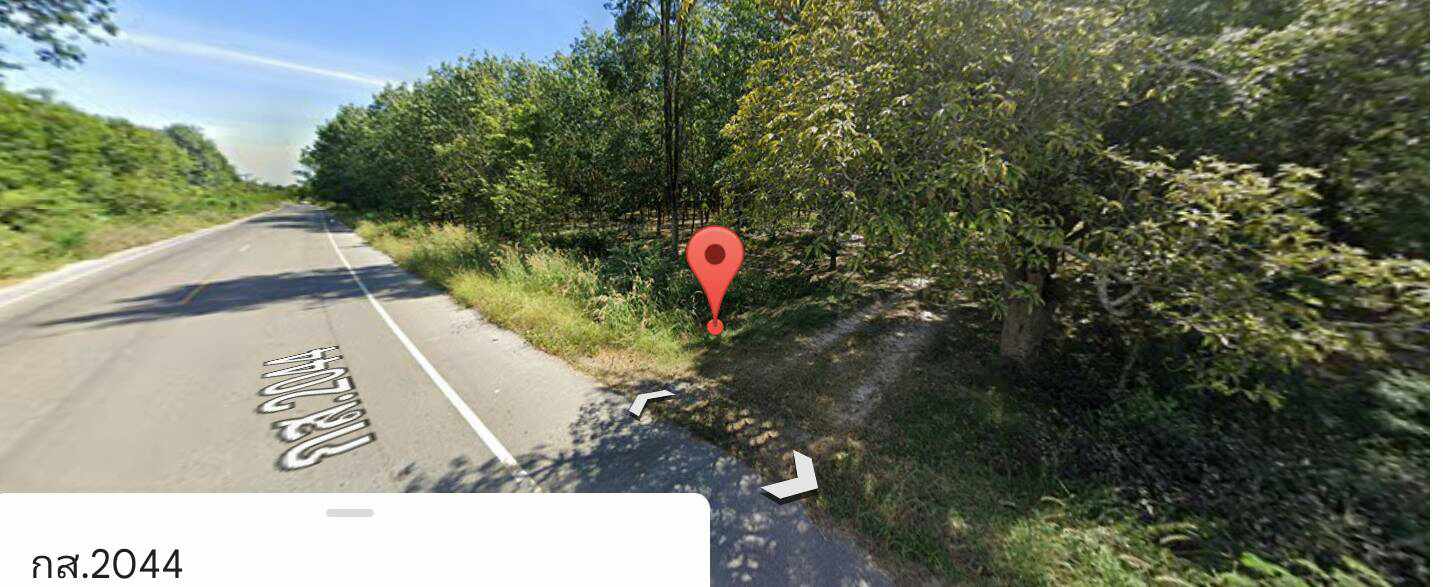 ขายที่ดินสวนยางพาราราคาถูกติดถนนลาดยางใกล้โรงเรียนเชียงเครือวิทยาคมและปตท.เมืองกาฬสินธุ์ เจ้าของขายโดยตรงทำเลดีบรรยากาศดีไฟฟ้าเข้าถึง