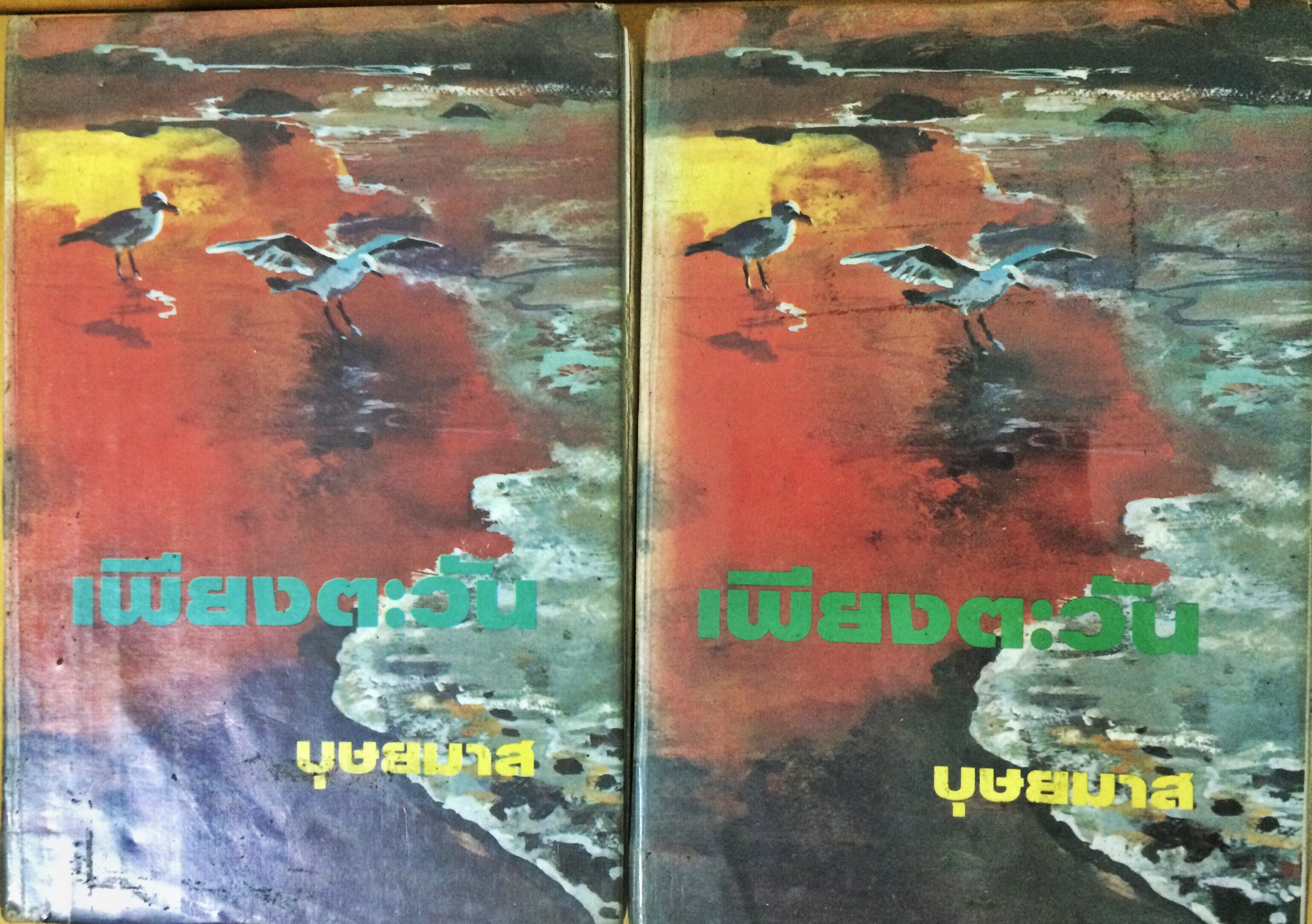 เพียงตะวัน (1-2เล่มจบ)