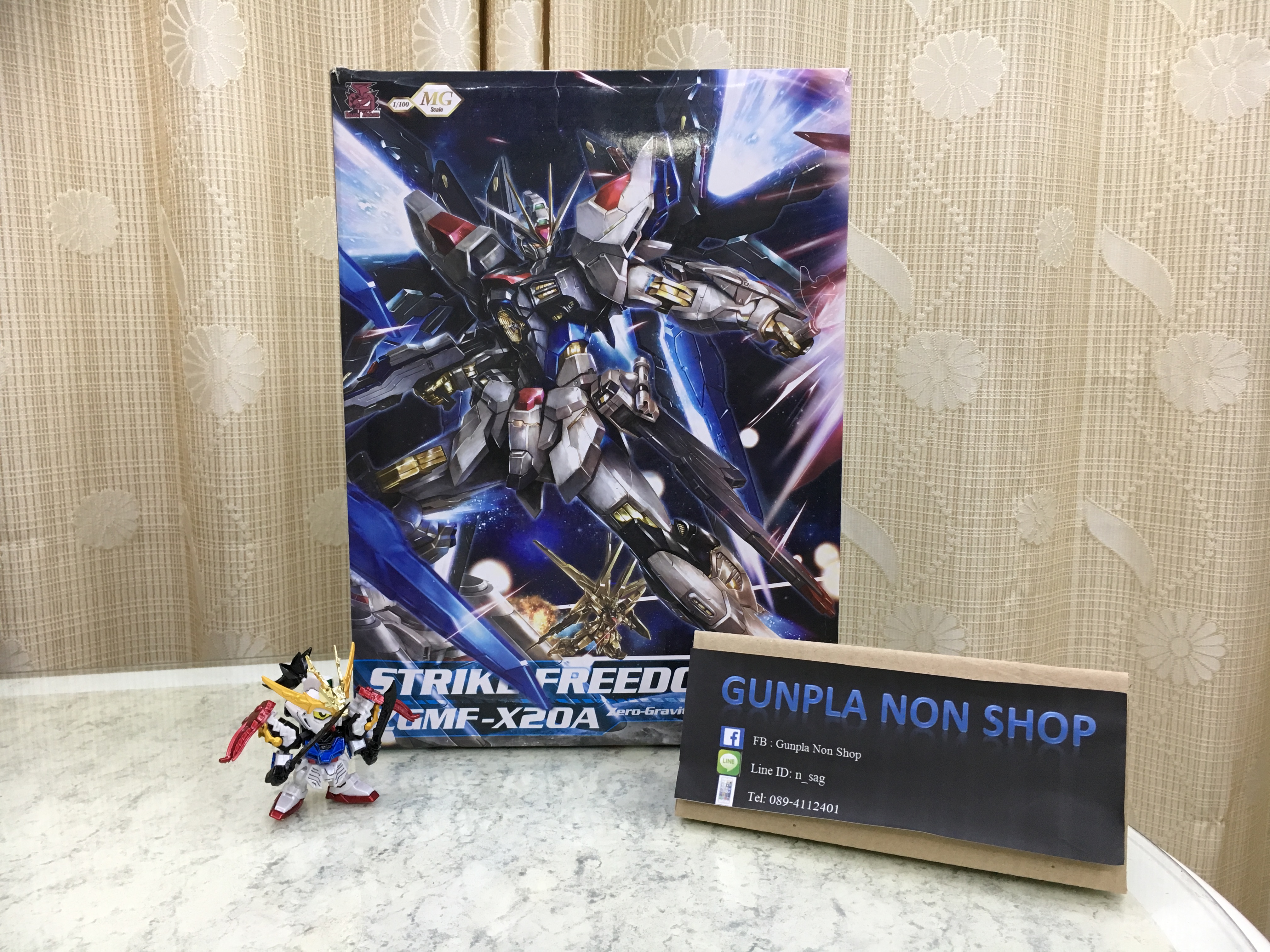 MG 1/100 Strike Freedom [Momoko]