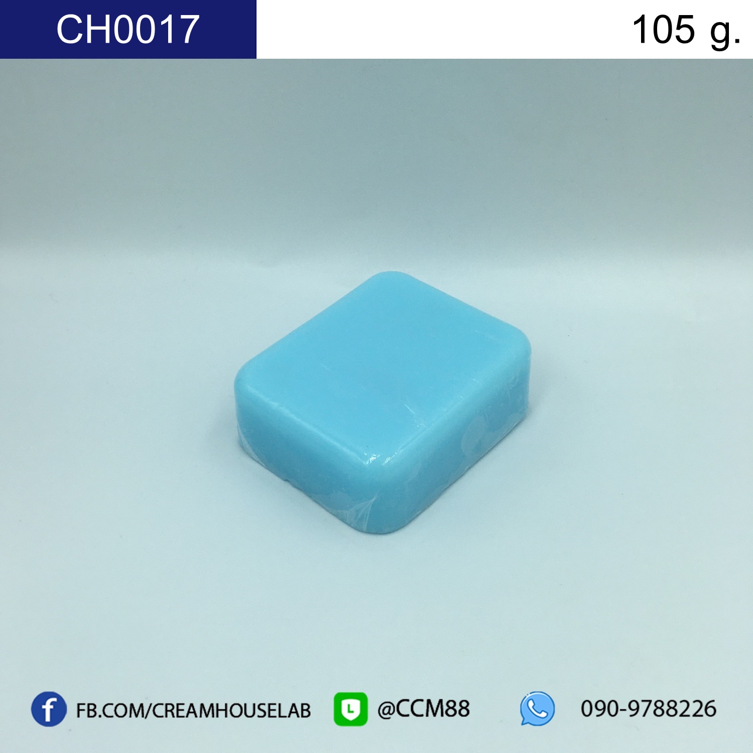 รหัส CH0017