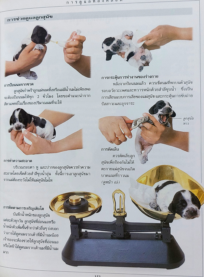 คู่มือดูแลสุนัขฉบับสมบูรณ์ (Complete Dog Care Manaul)