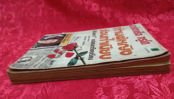 มาร์กาเร็ต ทรูโด ท่านผู้หญิงร้อนทำเนียบ (Beyond Reason)