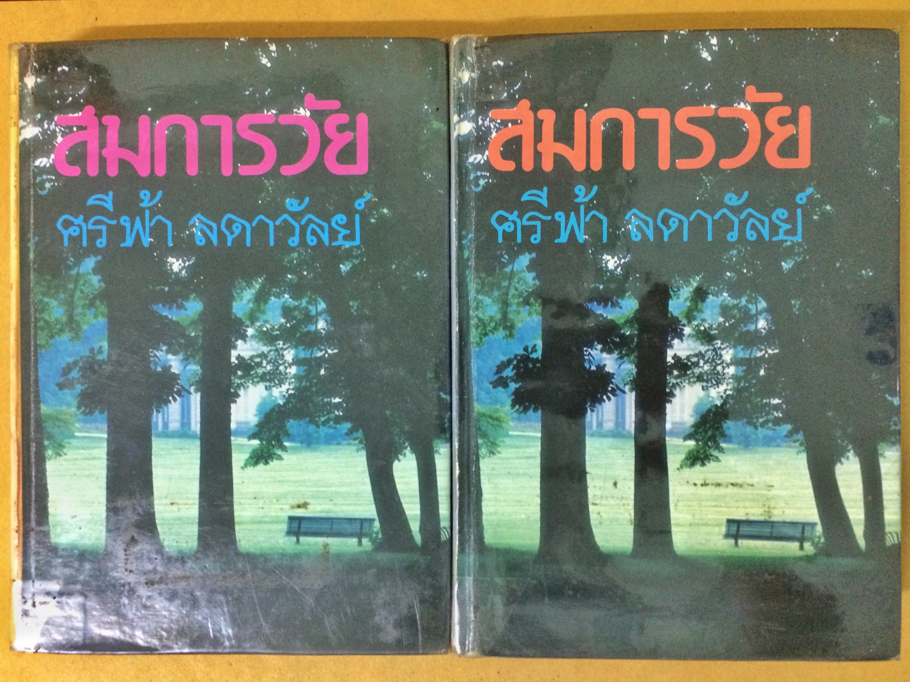 สมการวัย (1-2เล่มจบ)