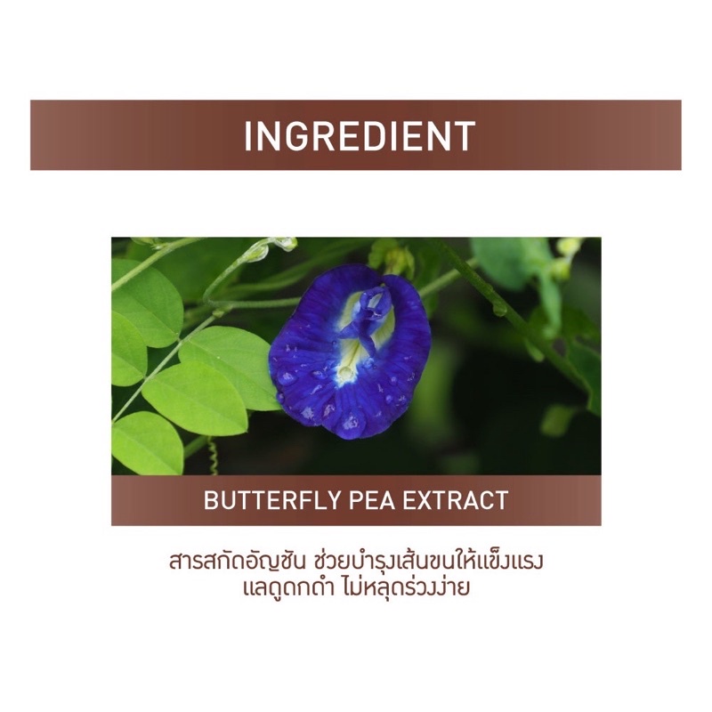 เบบี้ไบร์ท 2หัว ดินสอเขียนคิ้ว + มาสคาร่าคิ้ว Baby Bright Duo Brow Pencil & Mascara