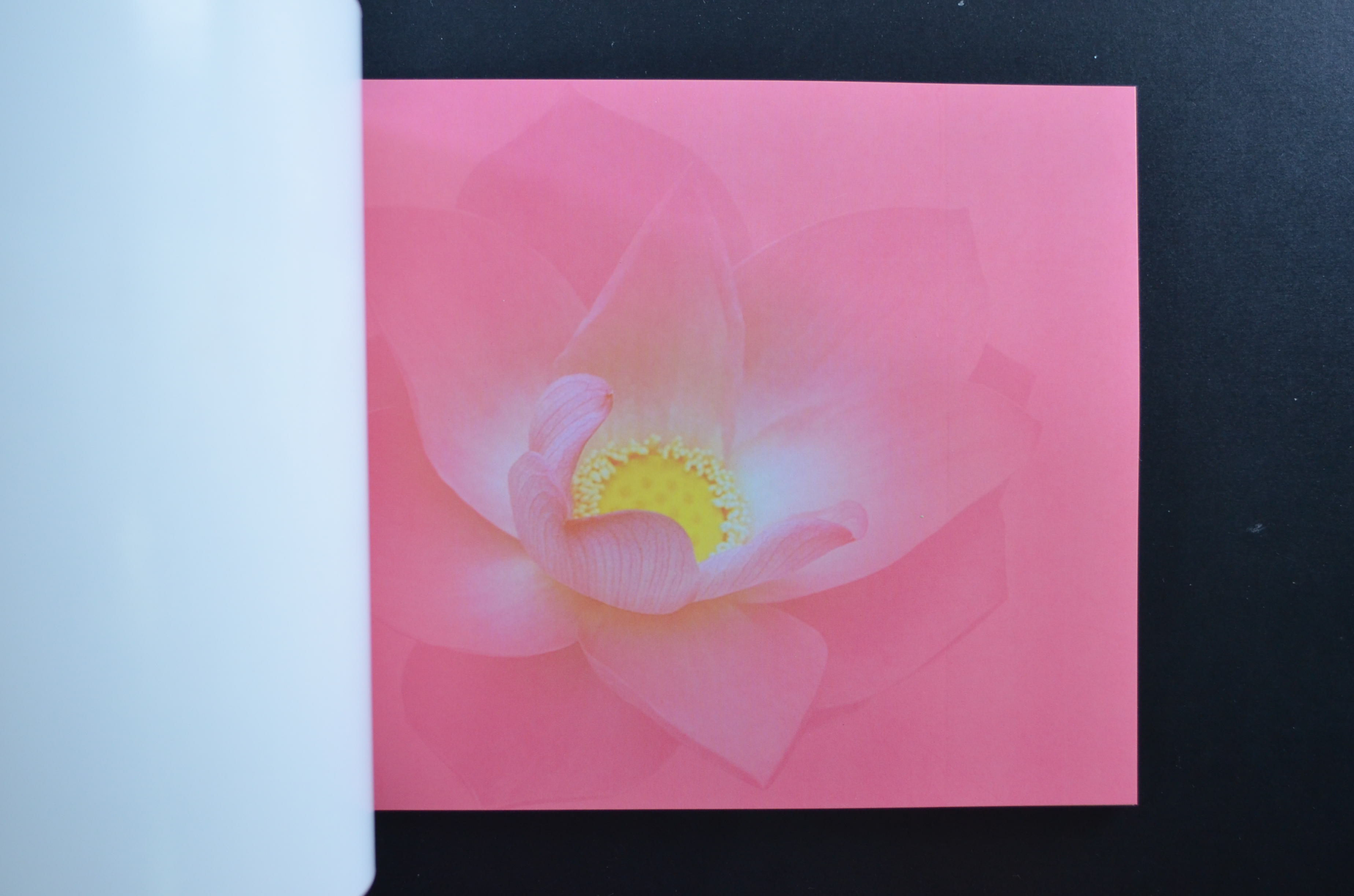 สมุดตราไปรษณียากรไทยประจำปี 2548