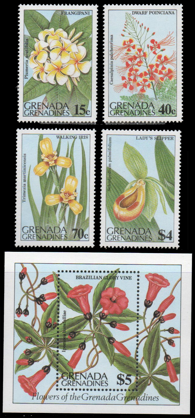 Flowers