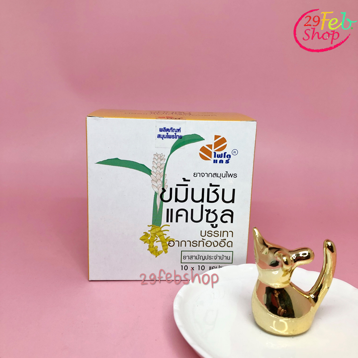 Phyto Care Herbal Medicine Curmin Capsule 10 x 10 Caps ขมิ้นชันแคปซูล