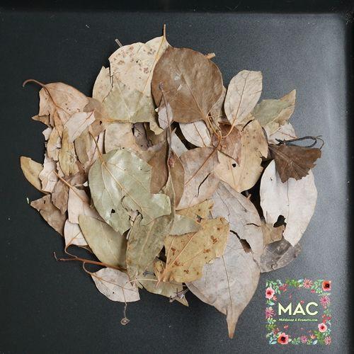 ใบกระวาน (Bay Leaf)
