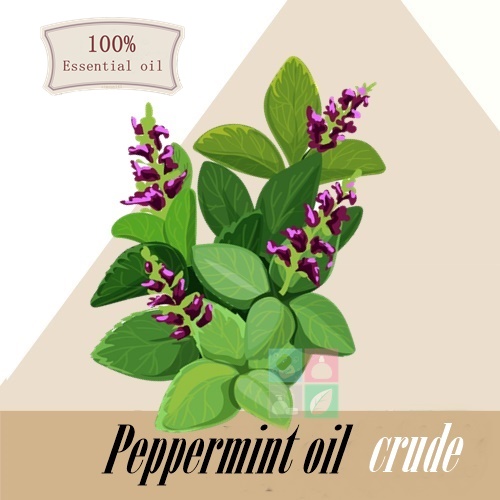 Peppermint oil crude100% ( Menthol 75 %)น้ำมันหอมระเหย เปปเปอร์มินท์ดิบ Refreshing,Cooling and Green เย็นสบาย สดชื่น ละลายในแอกอฮอล์และน้ำมัน COA / SDS