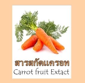 CARROT FRUIT EXTRACT สารสกัดแครอท