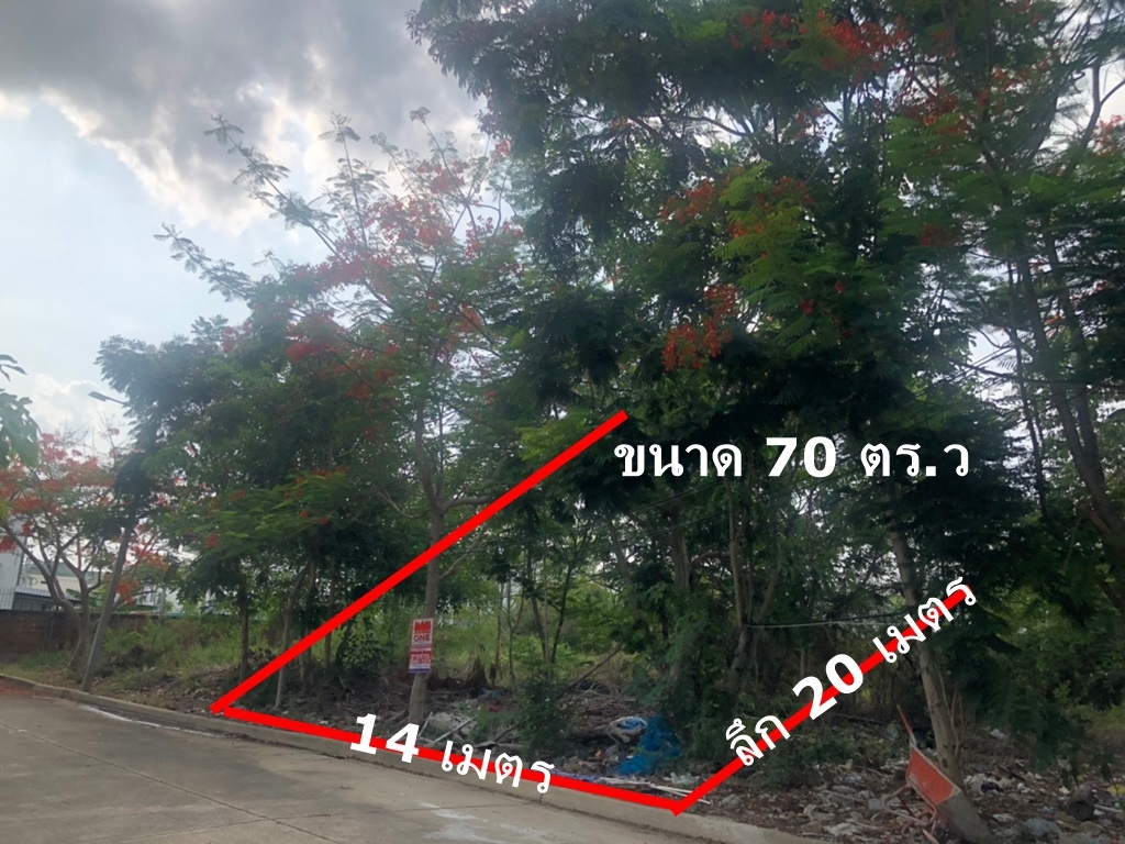 ขายที่ดินเปล่า ในหมู่บ้านชัยพฤกษ์ วัดลาดปลาดุก บางบัวทอง 70 ตร.ว เข้าซอย 43 ในหมู่บ้าน 200 เมตร