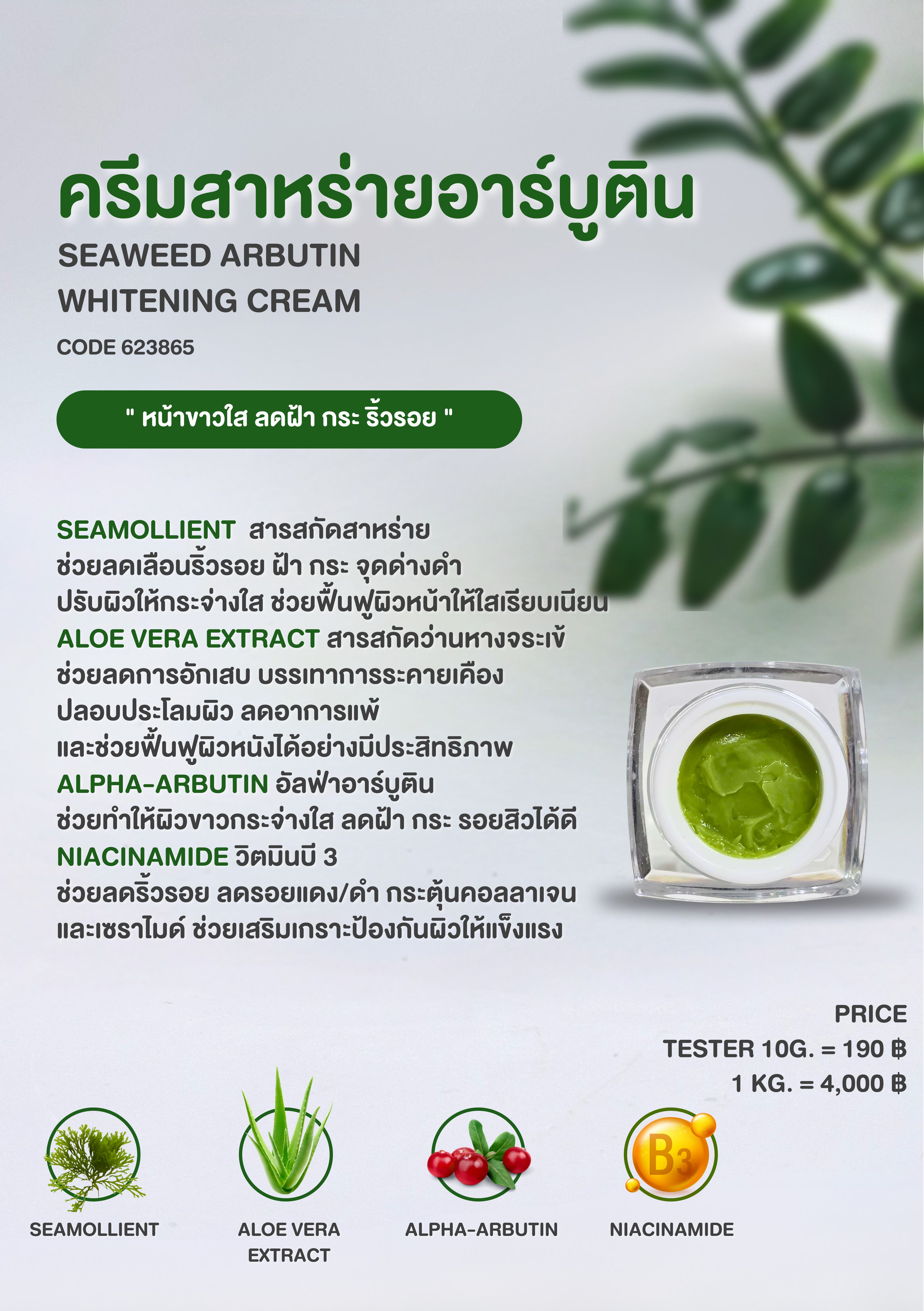 ครีมสาหร่ายอาร์บูติน - SEAWEED ARBUTIN Whitening Cream