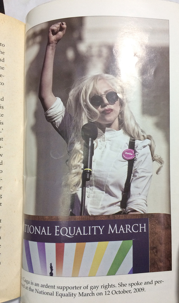 Lady Gaga Behind The Fame