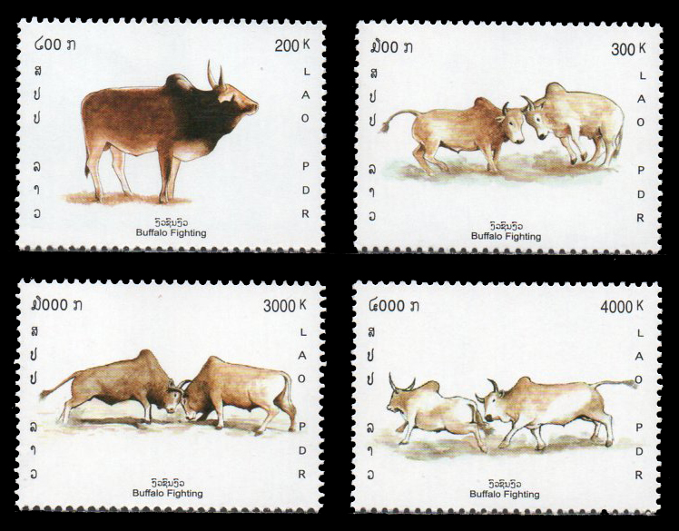 Buffalo Fighting 2002