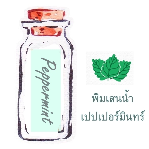 พิมเสนน้ำสปาผสมเปปเปอร์มินท์