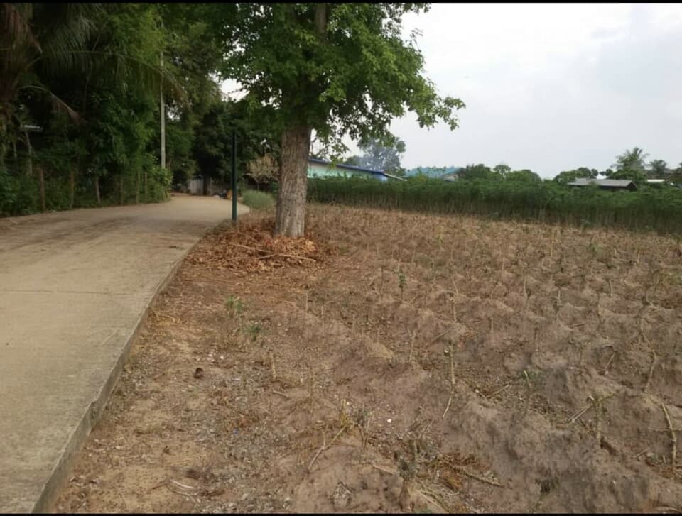 ที่ดินราคาถูกติดถนนใหญ่กบินทร์บุรี-ปักธงชัย หมายเลข(304)ติดสถานีตรวจสอบนํ้าหนักวังนํ้าเขียวขาเข้า2ไร่73ตรว.เหมาะทำธุรกิจเดินทางสะดวกจ.นครราชสีมา