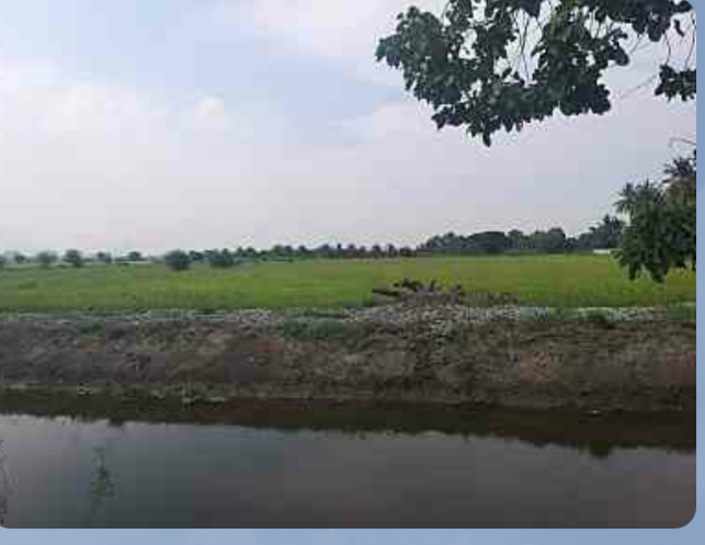 ขายที่ดินสวยราคาถูกติดโรงเรียนวัดท้ายตลาดและตรงข้ามวัดท้ายตลาดใกล้ สภ.เขาย้อย 1.87 กม.อ.เขาย้อย จ.เพชรบุรี