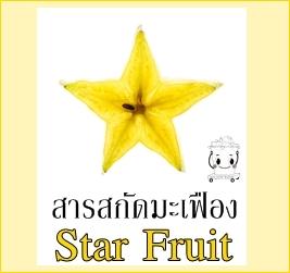 STAR FRUIT EXTRACT สารสกัดมะเฟือง