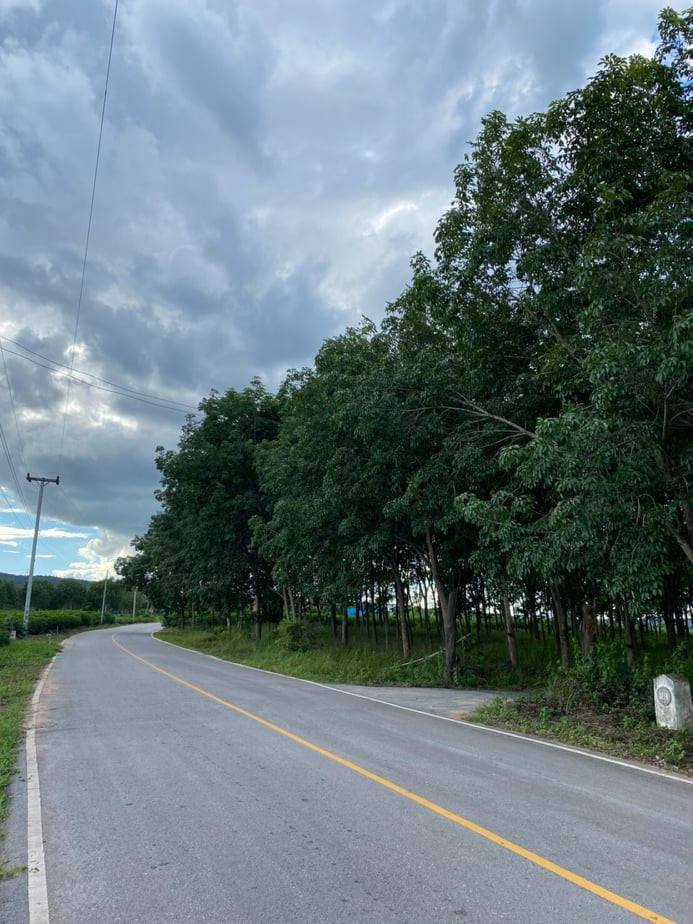 ขายสวนยางพาราราคาถูกพร้อมบ้านสวนติดถนนลาดยางอ.อำเภอหนองวัวซอจังหวัดอุดรธานี10ไร่1งาน19ตรว.ใกล้เรียนบ้านหนองอ้อ 2.6 กม.ห่างจากที่ว่าการอำเภอหนองวัวซอ 3.9 กม.บรรยากาศดีเดินทางสะดวกสบาย