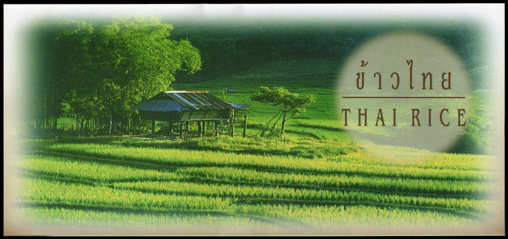 บัตรตราไปรษณียากรที่ระลึกข้าวไทย 2539