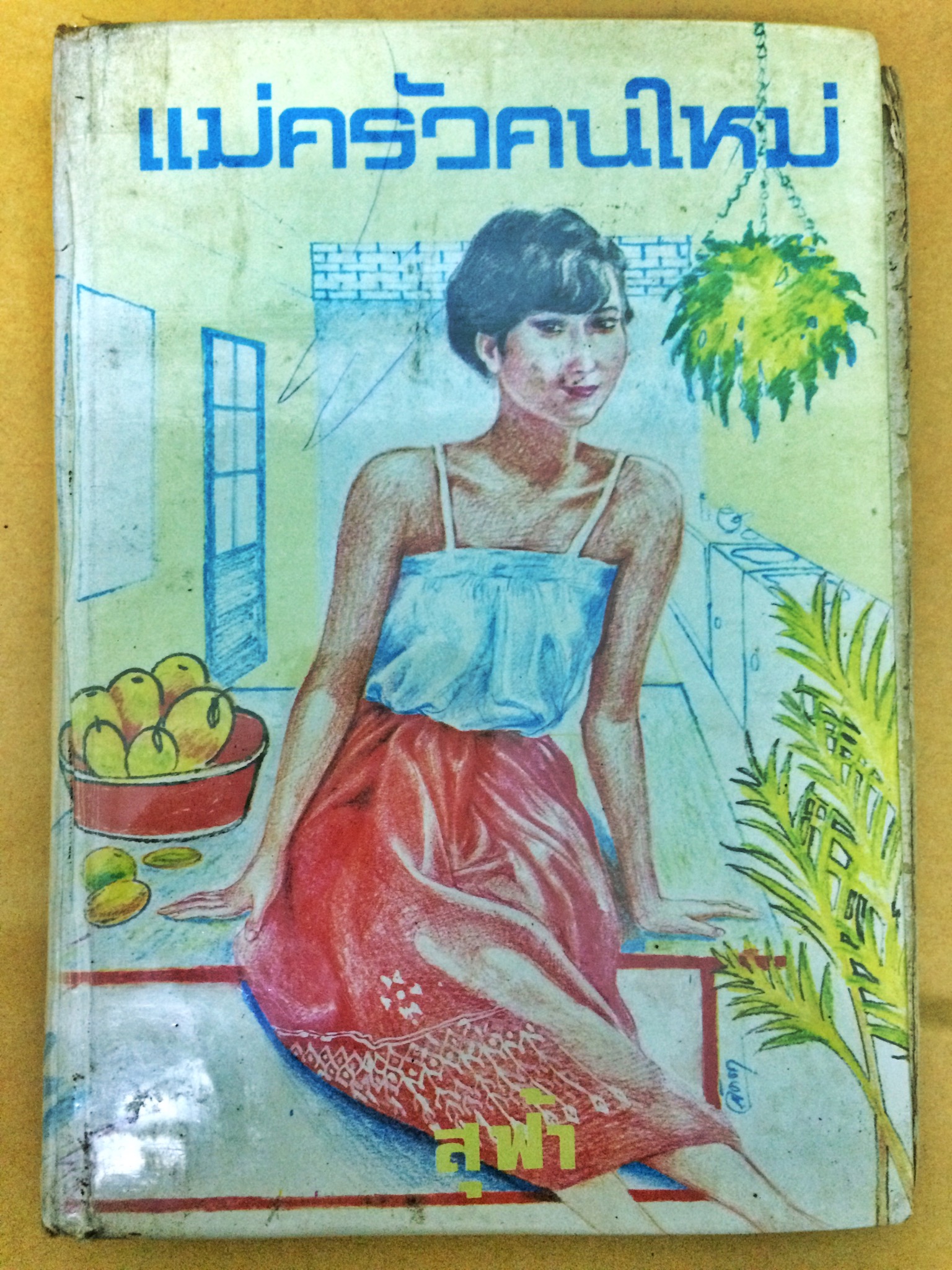 แม่ครัวคนใหม่ เล่ม 1