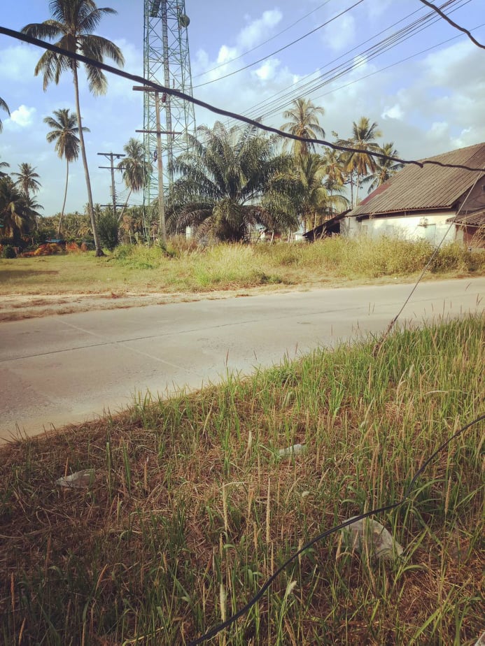 ขายที่ดินสวยราคาถูกที่สุดต.เกาะยาวใหญ่ อ.เกาะยาว จ.พังงา