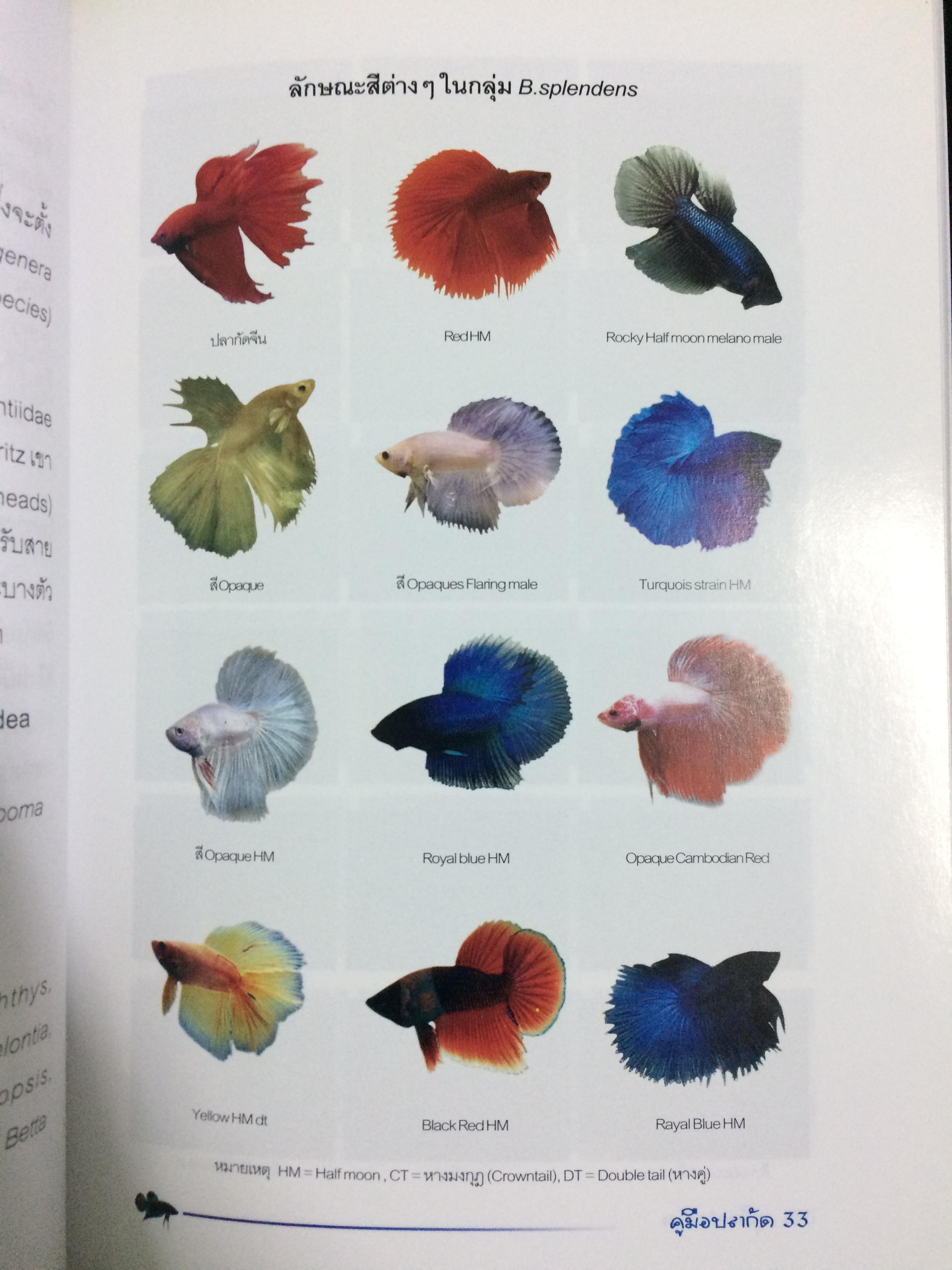 คู่มือปลากัด(Betta Handbook)
