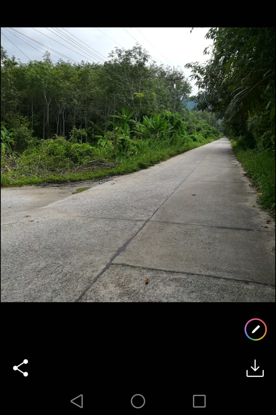 ขายที่ดินราคาถูกพร้อมสวนผลไม้สำเร็จรูป อ.บ้านค่าย จ.ระยอง7ไร่1งาน61ตรว.