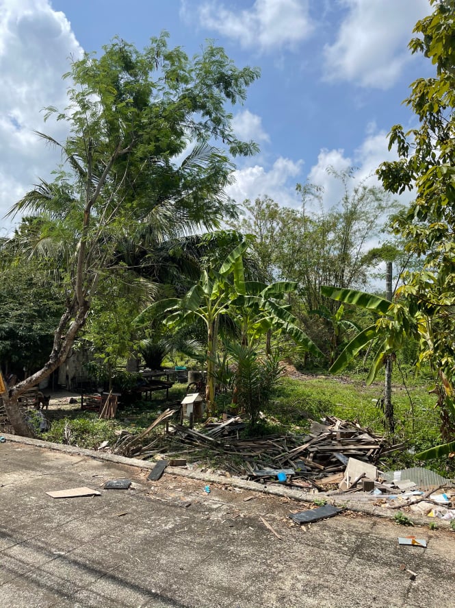 ขายที่ดินราคาถูกติดถนนใหญ่เพชรเกษม ตรงข้ามราชภัฏสวนดุสิตตรังอ.ห้วยยอดจ.ตรัง75ตรว.ใกล้โลตัสห้วยยอด 1 กม.เหมาะแก่การทำธุรกิจราคา2.1ล้านบาท