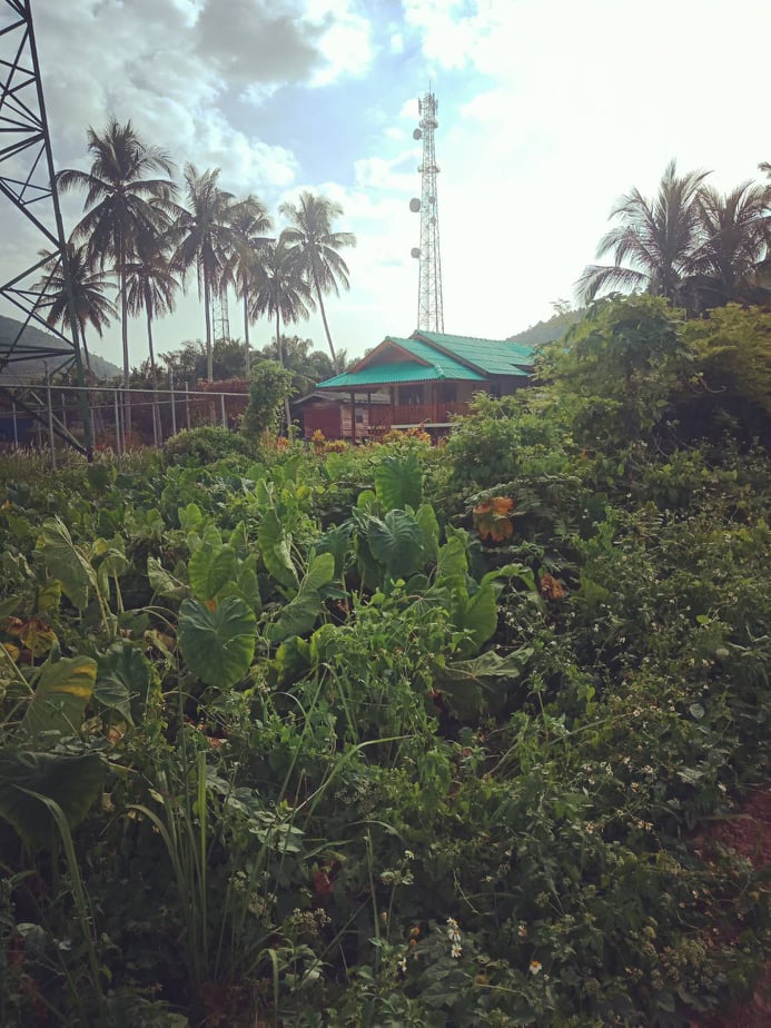 ขายที่ดินสวยราคาถูกที่สุดต.เกาะยาวใหญ่ อ.เกาะยาว จ.พังงา