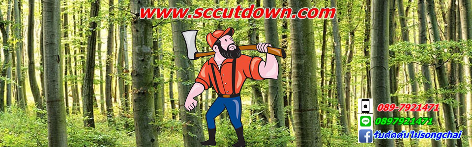 sccut service