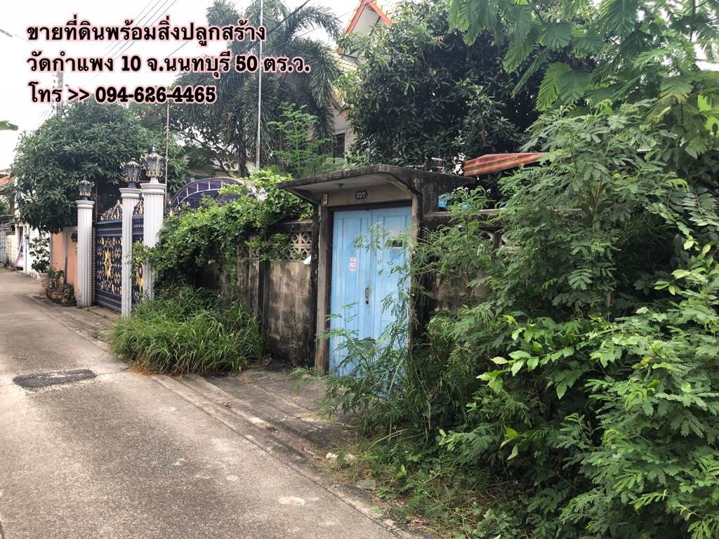 ขายด่วน ที่ดินพร้อมสิ่งปลูกสร้าง ซอยวัดกำแพง 10 จังหวัดนนทบุรี 50 ตร.ว.