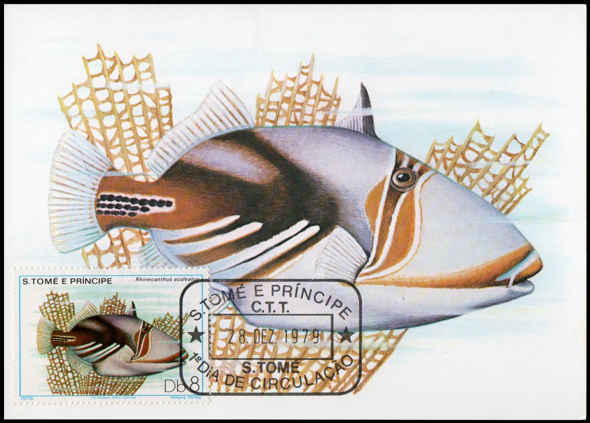 Post Card S.Tome E Principe Fish 1979