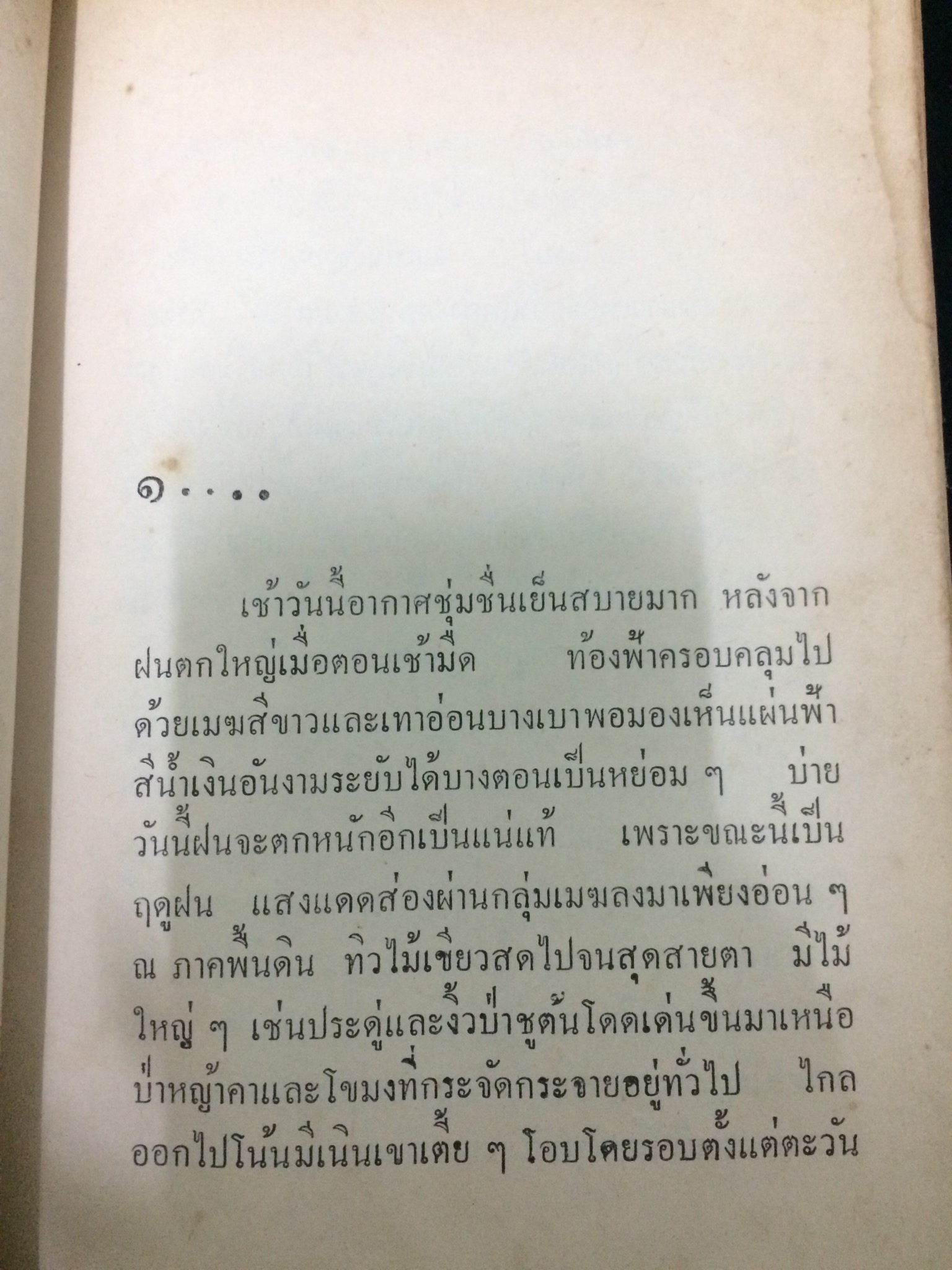 เกวลีสอยดาว (1-2เล่มจบ)