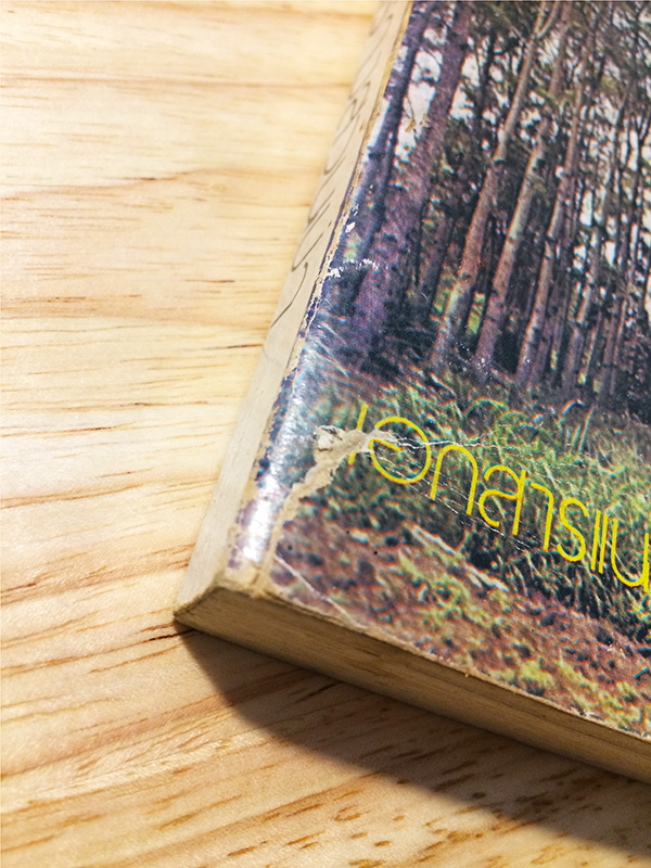 อาชีพปลูกสร้างสวนป่า