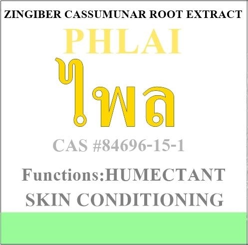 PHLAI ผงไพล