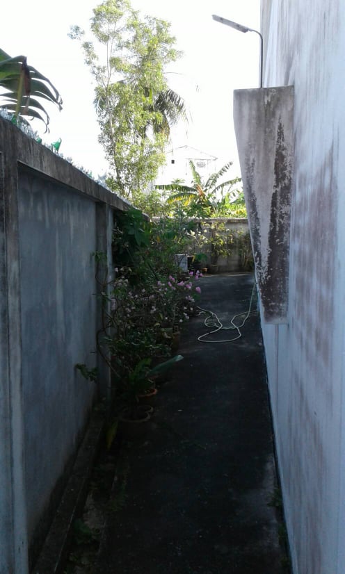 ขายบ้านรังนก พร้อมที่ดิน มีบ้านสำหรับพักได้ด้านล่าง มีนกแล้วประมาณ 350-400 ตัว