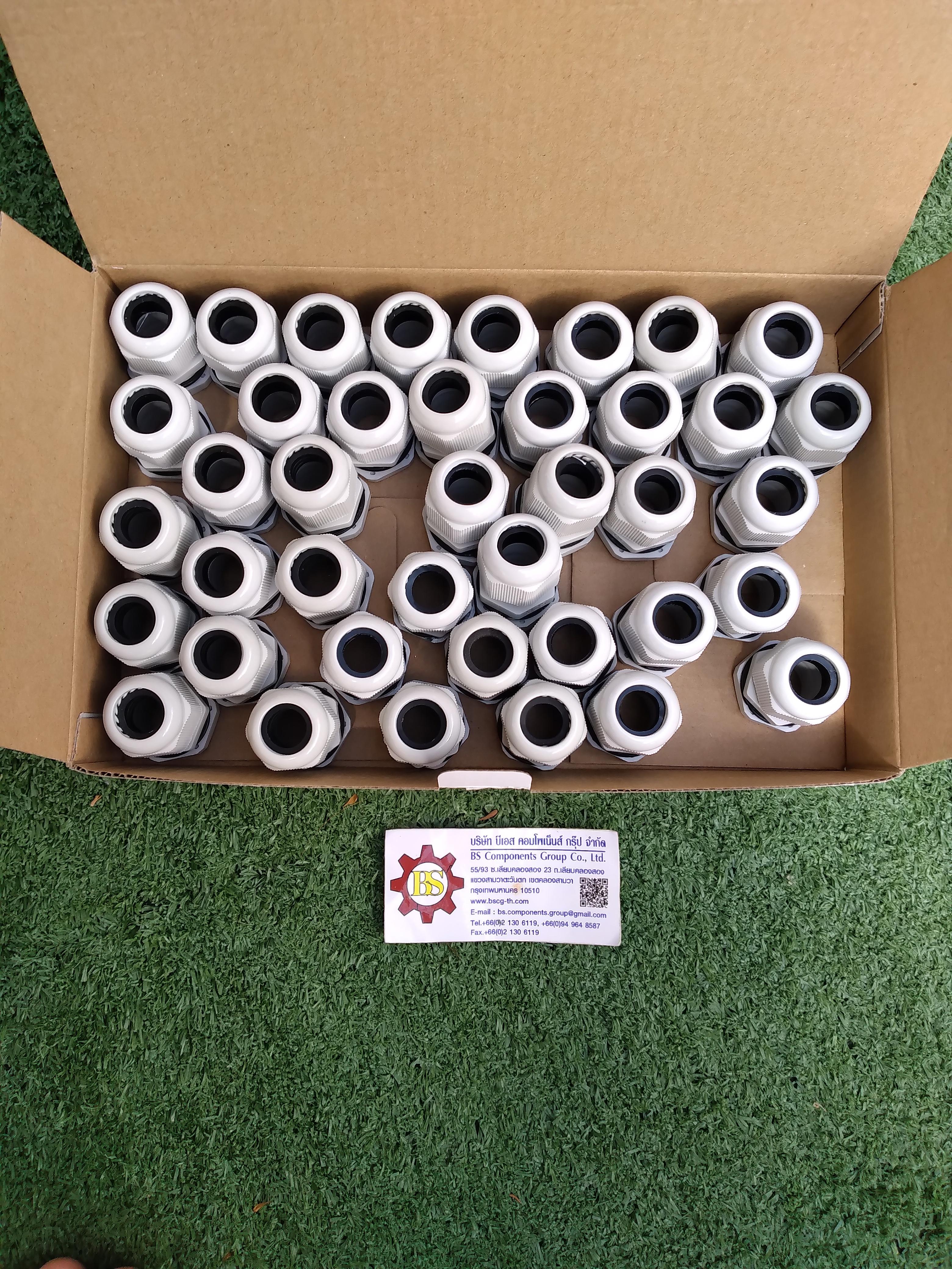 SHINOHAWA : ไน่ลอน เคเบิ้ลแกลน M20 IP68 สีเทา