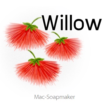 Willow น้ำมันหอม ดอกหลิวแดง