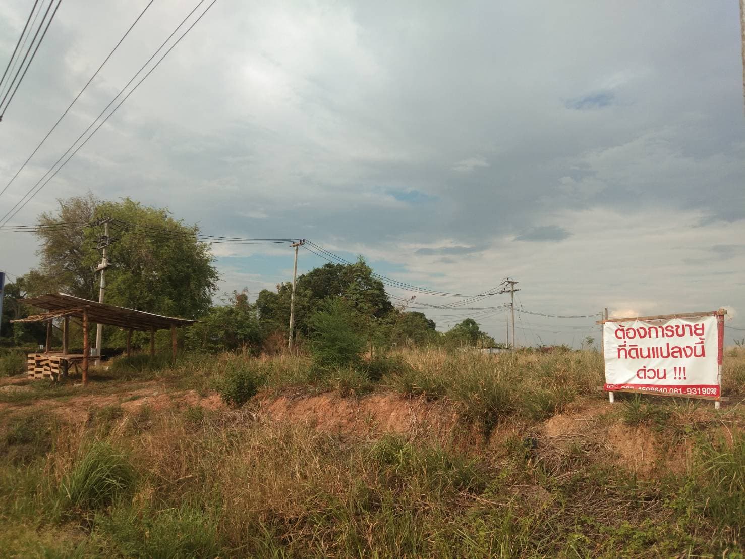 ขายที่ดินติดถนนใหญ่ชยางกูร212ห่างจากเทศบาลตำบลคำป่าหลาย1.5กม.7ไร่3งาน 61 ตรว.หน้าติดถนนใหญ่40 เมตรเหมาะทำธุรกิจเดินทางสะดวกจ.มุกดาหาร