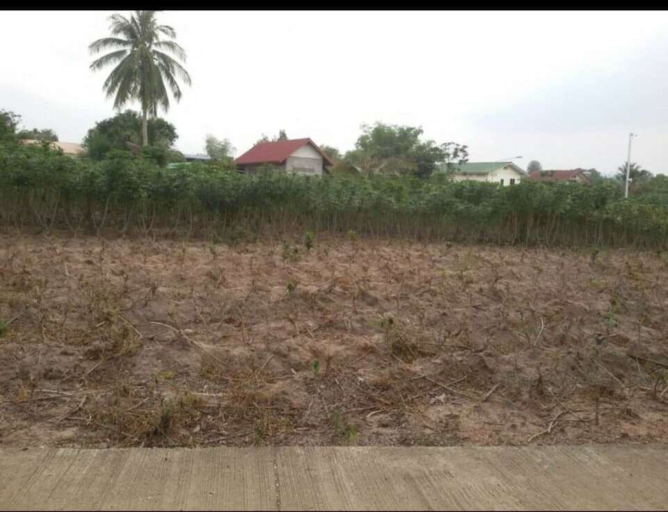 ที่ดินราคาถูกติดถนนใหญ่กบินทร์บุรี-ปักธงชัย หมายเลข(304)ติดสถานีตรวจสอบนํ้าหนักวังนํ้าเขียวขาเข้า2ไร่73ตรว.เหมาะทำธุรกิจเดินทางสะดวกจ.นครราชสีมา